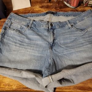 Torrid shorts